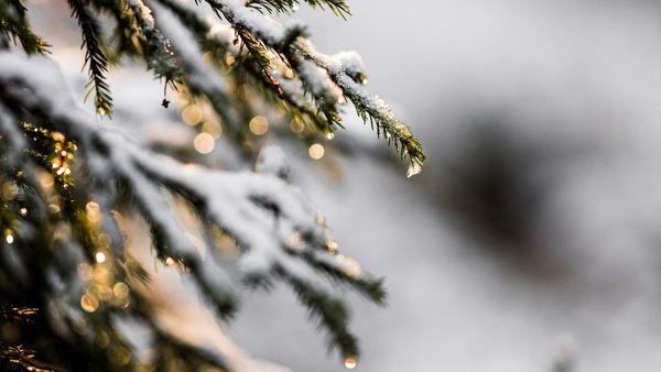 Folkuniversitetets verksamhet i Hallstahammar och Surahammar