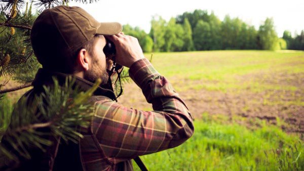 YH-utbildningar inom miljö och natur