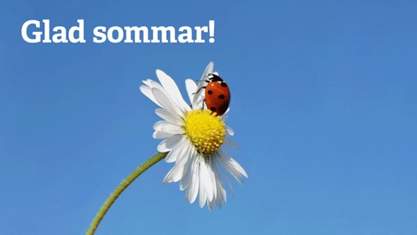 Glad sommar från Folkuniversitetets förlag!