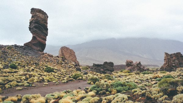 läs spanska på teneriffa på språkkurs med internationella skolorna