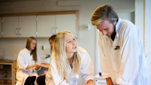 Naturvetenskapligt program på Johannes Hedberggymnasiet