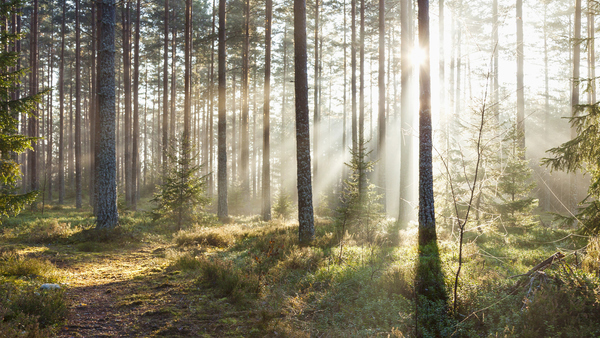 På fritids finns det utrymme för mycket fysisk aktivitet. Vi försöker hitta spännande aktivteter som ska vara lagom utmanande för eleverna.