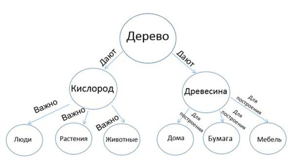 Карта мыслей онлайн