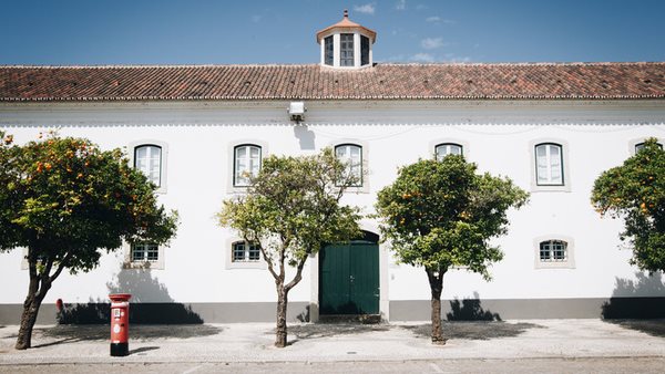 läs mer om boende och resa i faro